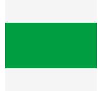 Magic Colour : Acrylic Ink : 28ml : Chiffon Green