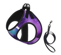 Magic Galaxy Sky Purple print Dog Harness and Leash Set, Reflective Adjustable Puppy Vest for Small Medium Large Dogs, Cats