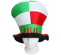Magic Kingdom Wales Top Hat Novelty Hat with Embroidery Welsh Stag & Tour