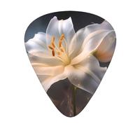 Magic Lily Printed guitar picks - three thicknesses: thin, medium and thick, suitable for electric guitar, bass and ukulele.