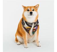 Magic Mushroom Pet Scarf Stylish Triangle Bid Scarf Bandana Pet Accessory,Washable Pet Kerchief for Girl Boy Dogs or Cats Small