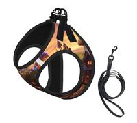 Magic Mushroom Print Harness Leash Set For Cat Dog, Reflective Adjustable Escape-Proof Vest Lead With Soft Breathable Mesh, For Small Pets And Kitten Puppy