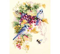 Magic needle 130-022 ZW Zweigart Edition Counted Cross Stitch Kit Cotton Multi-Coloured 25 x 35 cm
