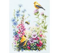 Magic Needle 130-031 ZW Summer Song Counted Cross Stitch Kit Zweigart Edition Cotton Multi-Coloured 31 x 40 cm