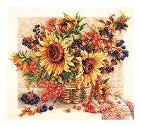 Magic Needle 40-76 ZW Birdberry Garland Counted Cross Stitch Kit with Zweigart Edition Cotton Multi-Coloured 40 x 34 cm