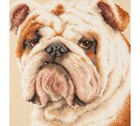Magic needle 59-21 ZW Bulldog Counted Cross Stitch Kit with Zweigart Edition Cotton Multi-Coloured 25 x 25 cm