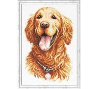 Magic needle 59-24 ZW Golden Retriever Counted Cross Stitch Kit with Zweigart Edition, Cotton, Multi-Colour, 20 x 28 cm