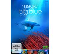 Magic of Big Blue (3 DVDs) (DVD)