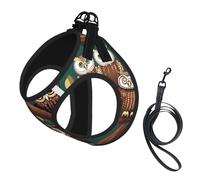 Magic owel Print Soft Mesh Dog Harness and Leash Set Pet Puppy Cat Comfort Padded Vest No Pull Harnesses