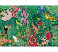 Magic Rainforest