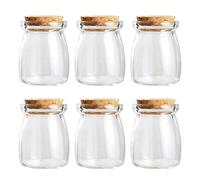 Magic Season Decorative Glass Bottles with Cork Stoppers (100 ml Pudding Bottles / 6 Pcs)