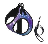 Magic Space Print Adjustable Harness Leash Set For Cats And Dogs, Soft Breathable Kitten Puppy Mesh Vest With Reflective Design, Escape-Proof Lead For Small Pets Walking Training