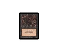 Magic: The Gathering Evil Presence