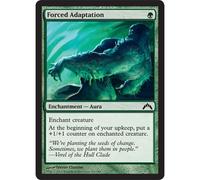 Magic: The Gathering Forced Adaptation | Gatecrash