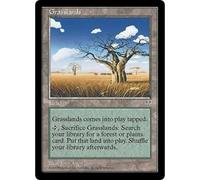 Magic: The Gathering Grasslands | Mirage
