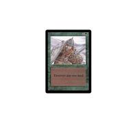 Magic: The Gathering Ice Storm