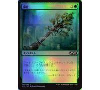 Magic the Gathering M19 JP 190 Basic Set (Common FOIL), Core 2019, Box Recording, MTG