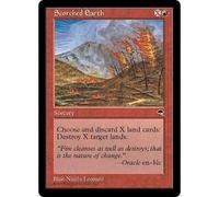 Magic: The Gathering Scorched Earth | Tempest