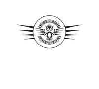 Magic: The Gathering Theros: Beyond Death Owl Men's T-Shirt - White - M