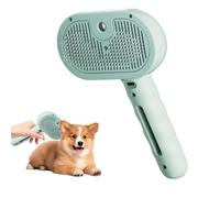 Magic Wand for Pet Hair, Pet Spray Hair Removal Comb with Steamer, 2 in 1 Massage Brushes with Handle, Rechargeable Cleaning Spray Comb for Cat and Dog (Green)