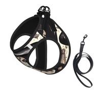 Magic Witch Witchcraft Bohemian print Dog Harness and Leash Set, Reflective Adjustable Puppy Vest for Small Medium Large Dogs, Cats