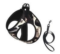 Magic Witch Witchcraft Bohemian Printing Dog Summer Harness With Leash Set,Adjustable And Reflective Step-In Puppy Pet Vest Harnesses