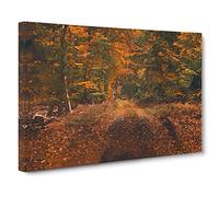 Magical Autumn Forest in Germany Canvas Print | Gallery Wrapped 30mm Frame Wall Art | 30x20 inches | Ready to Hang | Abstract Landscape Picture | Living Room Bedroom Lounge Office