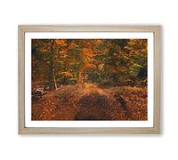 Magical Autumn Forest In Germany In Abstract Modern Art Framed Print | A4 Oak Framed Wall Art | Ready to Hang | Abstract Landscape Picture | Living Room Bedroom Lounge Office