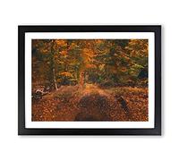 Magical Autumn Forest In Germany In Abstract Modern Art Framed Wall Art Print, Ready to Hang Picture for Living Room Bedroom Home Office Décor, Black A4 (34 x 25 cm)