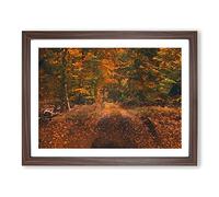 Magical Autumn Forest In Germany In Abstract Modern Art Framed Wall Art Print, Ready to Hang Picture for Living Room Bedroom Home Office Décor, Walnut A3 (46 x 34 cm)