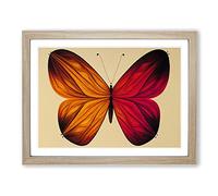 Magical Butterfly Framed Print | A3 Oak Framed Wall Art | Ready to Hang | Modern Animal Picture | Living Room Bedroom Lounge Office