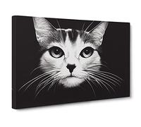 Magical Cat Canvas Print | Gallery Wrapped 30mm Frame Wall Art | 30x20 inches | Ready to Hang | Contemporary Animals Picture | Living Room Bedroom Lounge Office