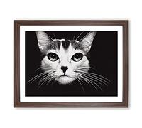 Magical Cat Framed Print | A2 Walnut Framed Wall Art | Ready to Hang | Modern Animal Picture | Living Room Bedroom Lounge Office