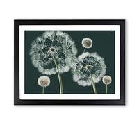 Magical Dandelion Flowers BLK Framed Print | A2 Black Framed Wall Art | Ready to Hang | Modern Floral Picture | Living Room Bedroom Lounge Office