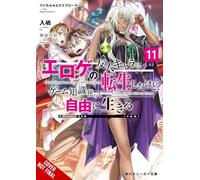Magical Explorer, Vol. 11 (light novel): Reborn as a Side Character in a Fantasy Dating Sim