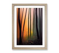 Magical Forest Framed Print | A3 Oak Framed Wall Art | Ready to Hang | Modern Landscape Picture | Living Room Bedroom Lounge Office