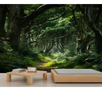 Magical Forest Wall Mural Ancient Tree Tunnel Mural Enchanted Forest Path Wallpaper Large Size Landscape Wallpaper Not Peel and Stick for Living Room Bedroom 100 x 70 cm