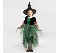 Magical Green Witch Fancy Dress - Girl Halloween Kids Costume including Witch Hat Halloween Fancy Dress Costume (Green, 110)