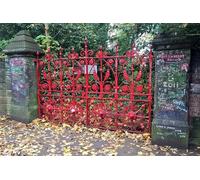 Magical Liverpool Beatles Tour; Penny Lane Strawberry Field etc