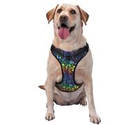 Magical Mushrooms and Flowers Pattern Dog Harness - Lightweight,Soft,Adjustable Small Harness and Leash Set, Suitable for Puppy Small and Medium-Sized Dog-Medium