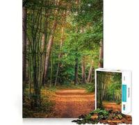 Magical Path Jigsaw Puzzles 1000 Piece for Adults Calm Daily Snug Joint Joyful Challenge (38x52cm)