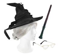Magical Professor Accessory Set - Hat, Glasses, Wand & Wig I Love Fancy Dress Black One Size