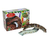 Magical Secret Polyresin Fairy Garden Bridge & Stream - 16.5 cm x 4.5 cm x 4 cm (1 Pc.) - Enchanting Miniature Landscape Accessory - Perfect For Indoor & Outdoor Fairy Gardens