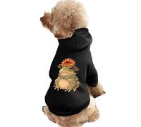 Magical Toad Witch Funny Dog Hoodie Sweatshirts Pet Pullover Puppy Cats Clothes for Small Medium Large