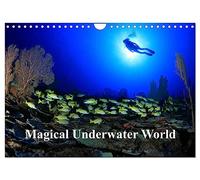 Magical Underwater World (Wall Calendar 2026 DIN A4 landscape), CALVENDO 12 Month Wall Calendar: Underwater photography from tropical seas