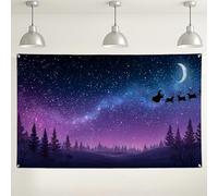Magical Winter Night Backdrop, Starry Sky Forest Scene Decorations, Christmas Holiday Indoor/Outdoor Photography Background for Parties and Events 71x43 Inch