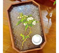 Magicaldiy Cloisonne Enamel Painting DIY Kit for Adults Beginners, DIY Filigree Enamel Glass Serving Tray, Home Decor, Chinese Intangible Cultural Heritage, 7.6" W x 11.4" L (White Flowers)