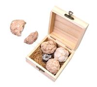 MAGICLULU 1 Box Gem Dig Kit Gemstone Mining Educational Rock Collection for Adults Fun Geology Exploration Crystals for Science Learning and Birthday gifts for for for for for for