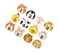MAGICLULU 12 Sheets Newborn Milestone Stickers Monthly Milestones for Baby Photo Album