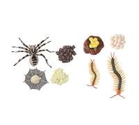 MAGICLULU 2 Sets Tarantula and Life Cycle Models Educational Cognitive for Biological Understanding Safe Animal Figures for Home Decoration